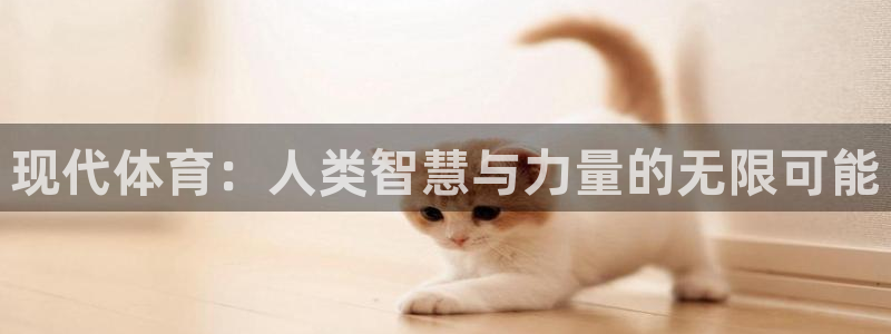 风速体育官网