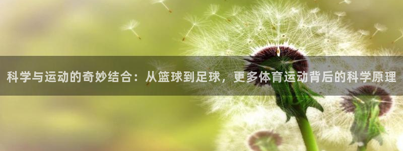 下载风速体育