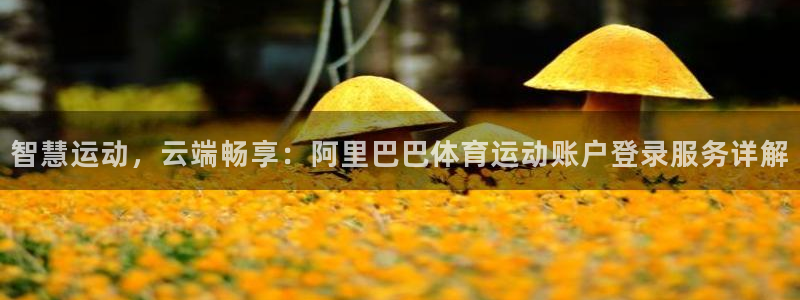 风速体育下载