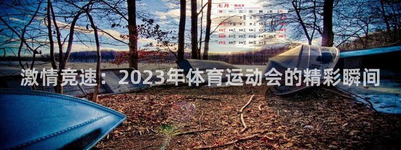 风速体育