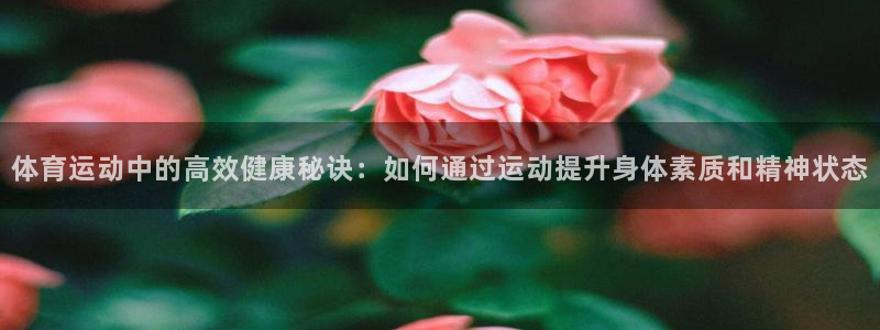 风速体育