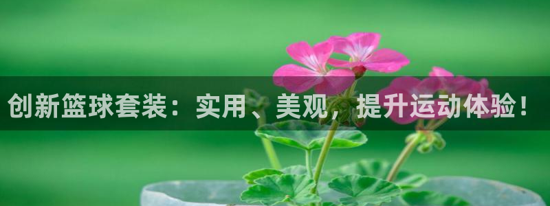 风速体育下载