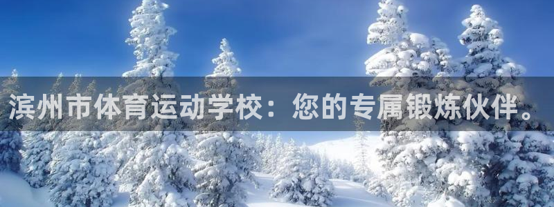 风速体育