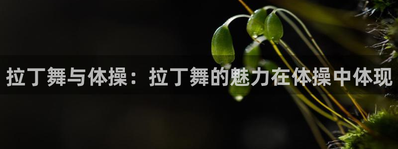 下载风速体育