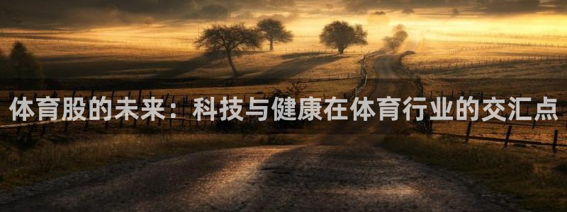 风速体育官网