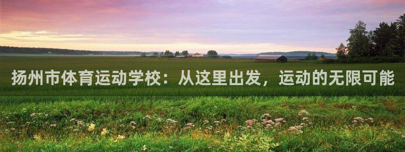 风速体育app