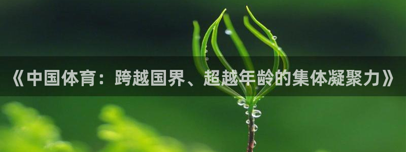 风速体育app官方下载
