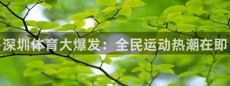 风速体育直播
