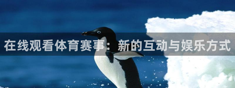 风速体育