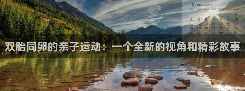 风速体育